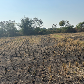  Plot For Sale in Sangareddy