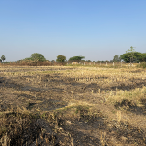 Plot Area in  Plot at Sangareddy – for Sale