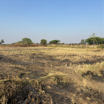 Plot Area in  Plot at Sangareddy – for Sale