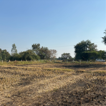 Plot Area in  Plot at Sangareddy – for Sale