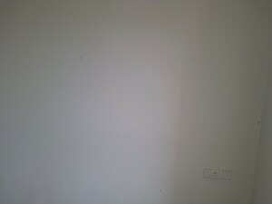 Room in 1 BHK Apartment at KIPL Morya, Kasarvadavali – for Rent