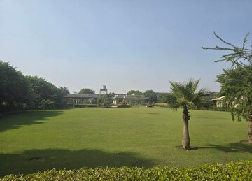  Land For Sale in Pataudi