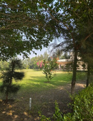  Land – Garden View at Pataudi - for Sale