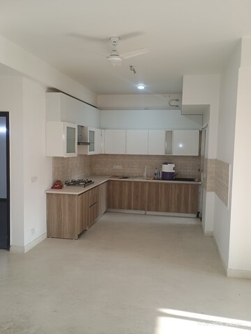 3 BHK Builder Floor For Rent in BPTP Amstoria, Sector 102