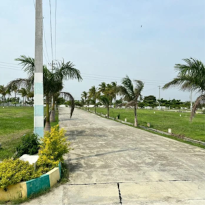  Plot For Sale in Kolar