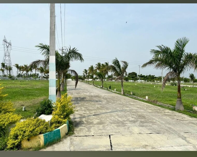 Garden, hoskote  1200 Sq.Yd. Plot In Hoskote Bangalore 9661905