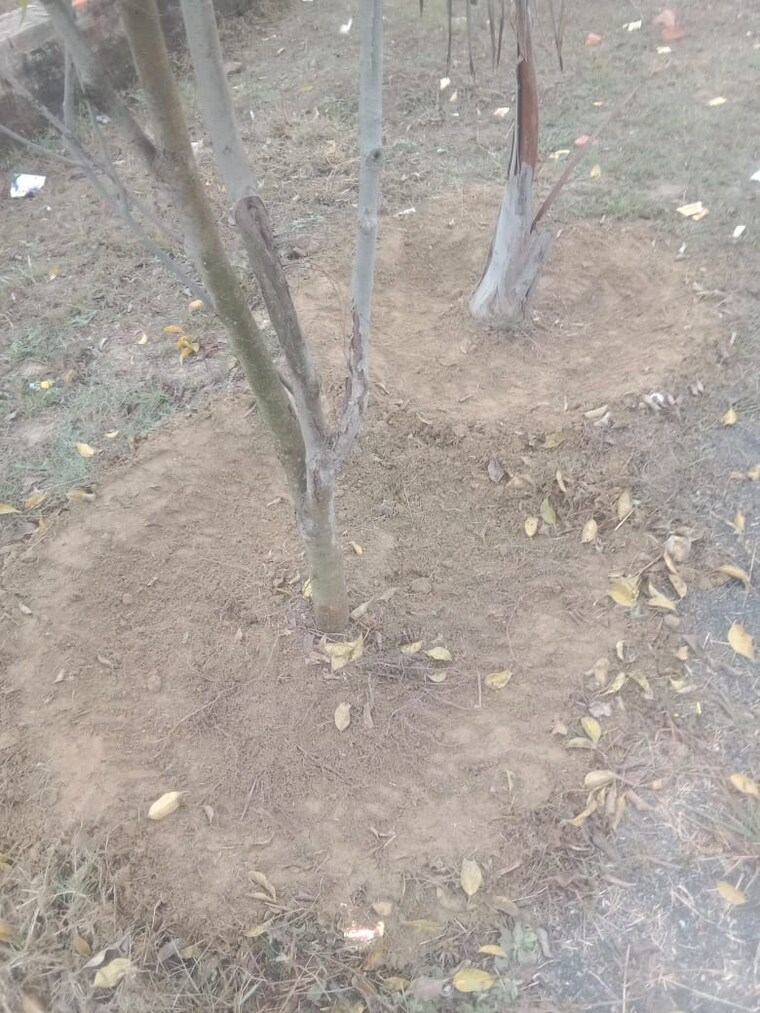 undefined, raebareli road  1050 Sq.Ft. Plot In Raebareli Road Lucknow 9662128