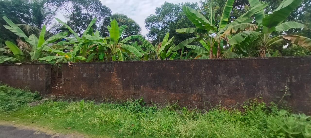 Plot For Sale in Chembukkav
