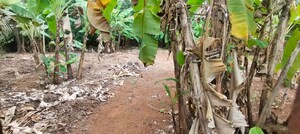  Plot – Exterior View View at Chembukkav - for Sale