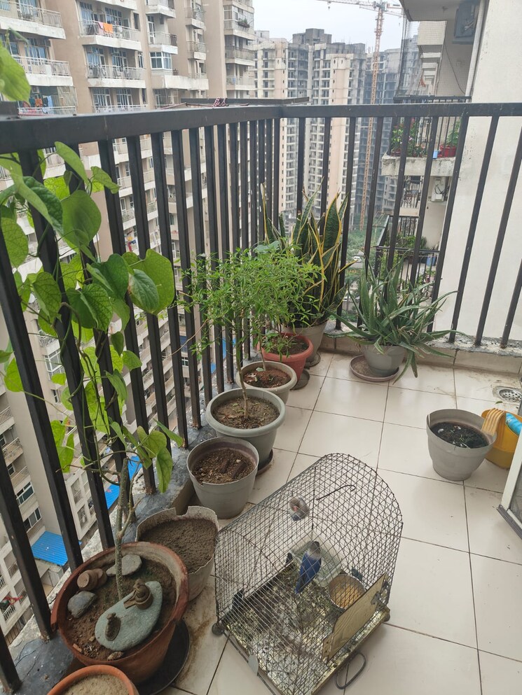 Balcony, galaxy-north-avenue 2 Bedroom 905 Sq.Ft. Apartment In Gaur City 1 Greater Noida 9662172