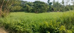 Plot For Sale in Chembukkav