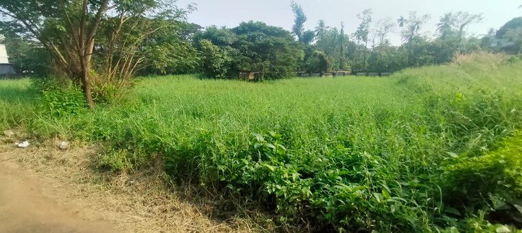 undefined, chembukkav  8712 Sq.Ft. Plot In Chembukkav Thrissur 9662223