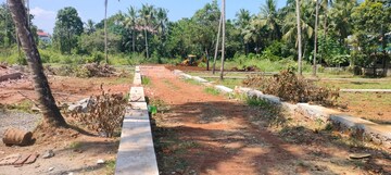 Plot Area in  Plot at Mannuthy – for Sale