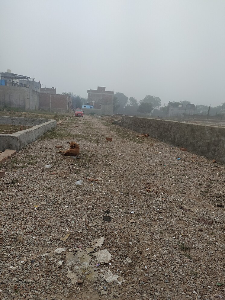 undefined, sector 23  100 Sq.Yd. Plot In Sector 23 Noida 9662393