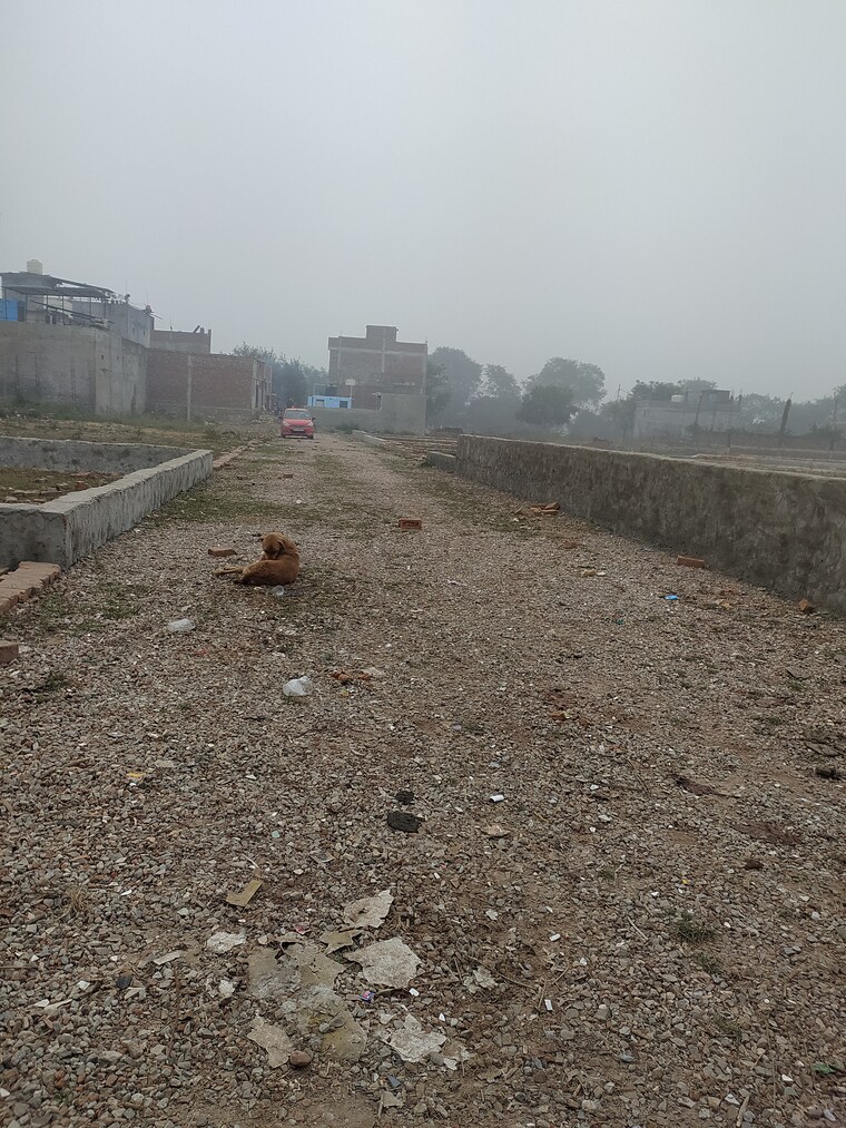 undefined, sector 23  100 Sq.Yd. Plot In Sector 23 Noida 9662393