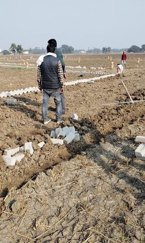 Plot Area in  Plot at Danapur – for Sale