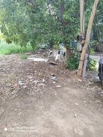 360 Sq.Yd. Plot in South City 1
