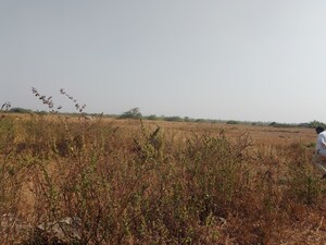 Plot Area in  Plot at Dronagiri – for Sale