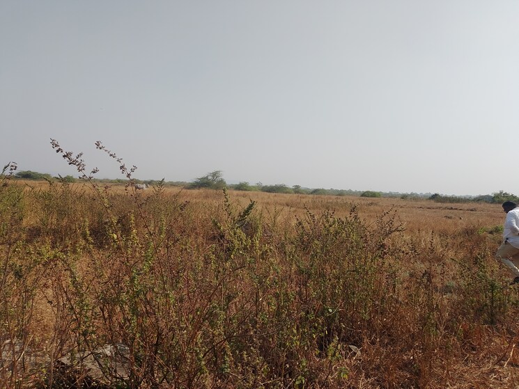 undefined, dronagiri  1089 Sq.Ft. Plot In Dronagiri Navi Mumbai 9662638