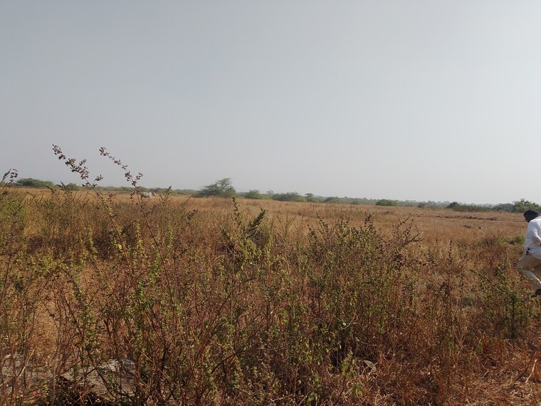 undefined, dronagiri  1089 Sq.Ft. Plot In Dronagiri Navi Mumbai 9662638