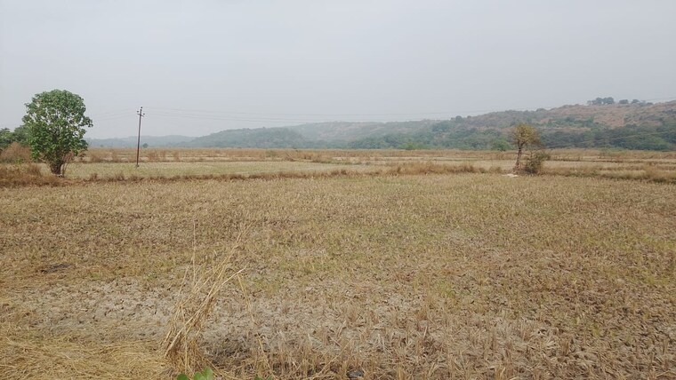 undefined, dronagiri  1089 Sq.Ft. Plot In Dronagiri Navi Mumbai 9662638