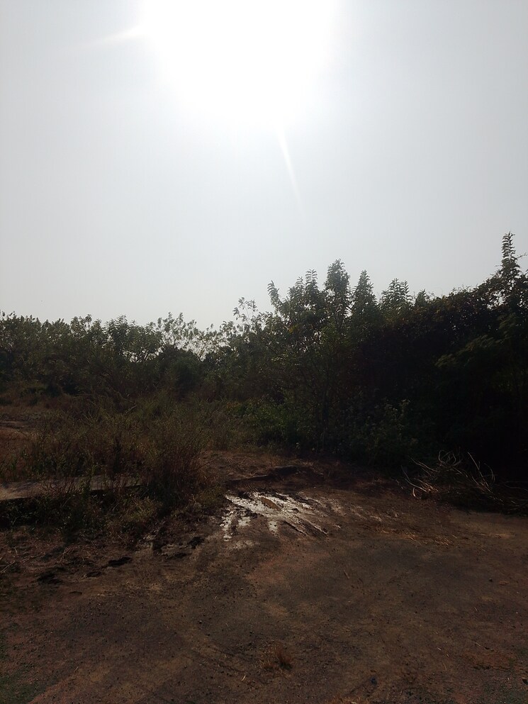 undefined, dronagiri  1089 Sq.Ft. Plot In Dronagiri Navi Mumbai 9662638