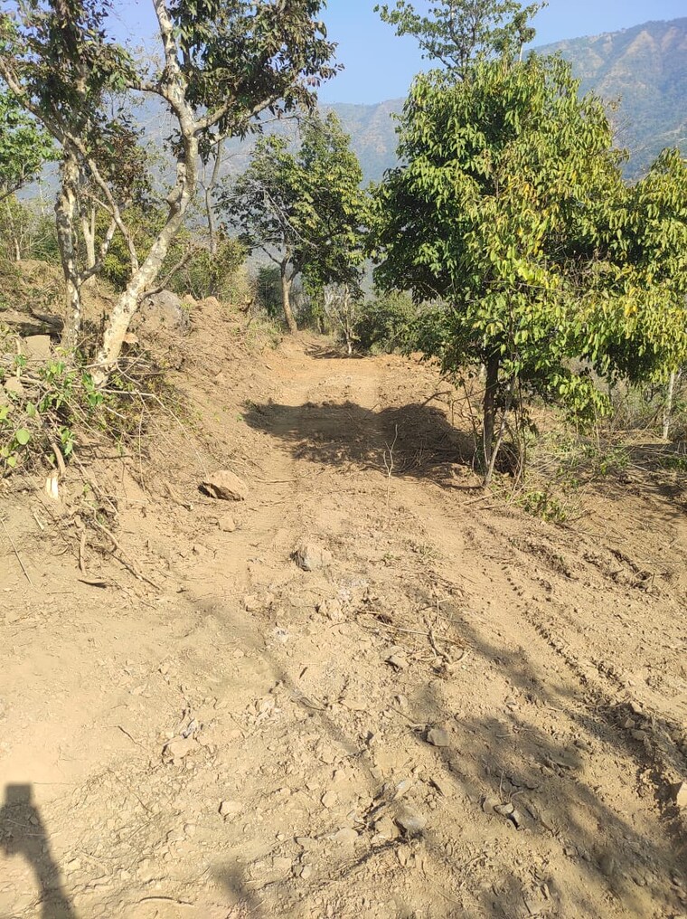 undefined, shahastradhara road  300 Sq.Yd. Plot In Shahastradhara Road Dehradun 9662639