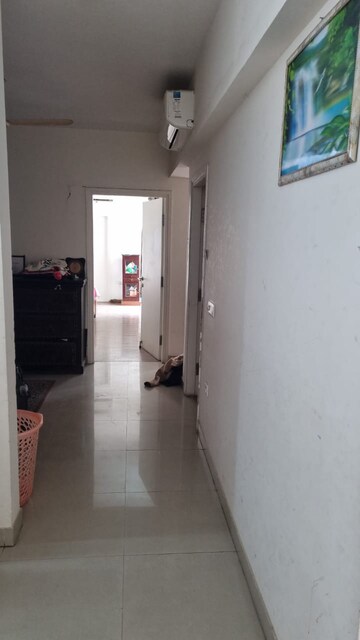 Building Lobby in 2 BHK Apartment at ROF Aalayas, Sector 102 – for Sale