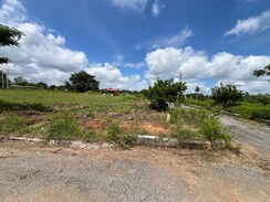 Plot For Sale in Fortune Nector