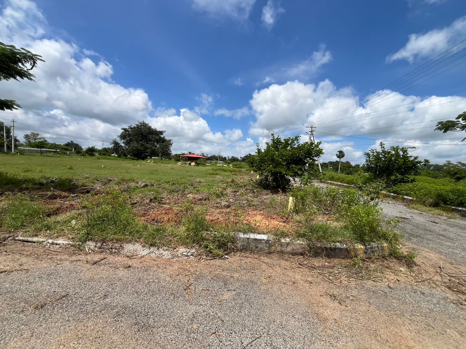 Plot For Sale in Fortune Nector