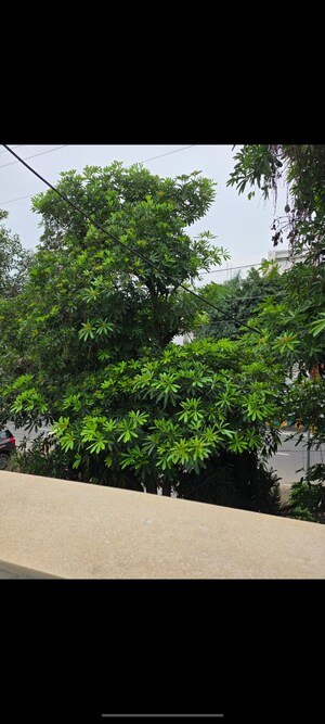 3 BHK Builder Floor – Garden View at A Square, Sector 20 - for Rent