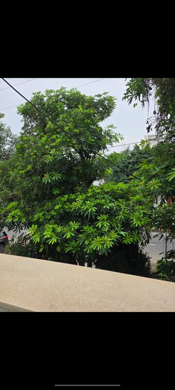 3 BHK Builder Floor – Garden View at A Square, Sector 20 - for Rent