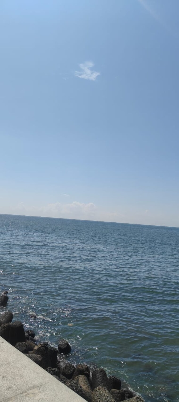 Swimming Pool, lodha-world-crest 4 Bedroom 2620 Sq.Ft. Apartment In Worli Mumbai 9663206