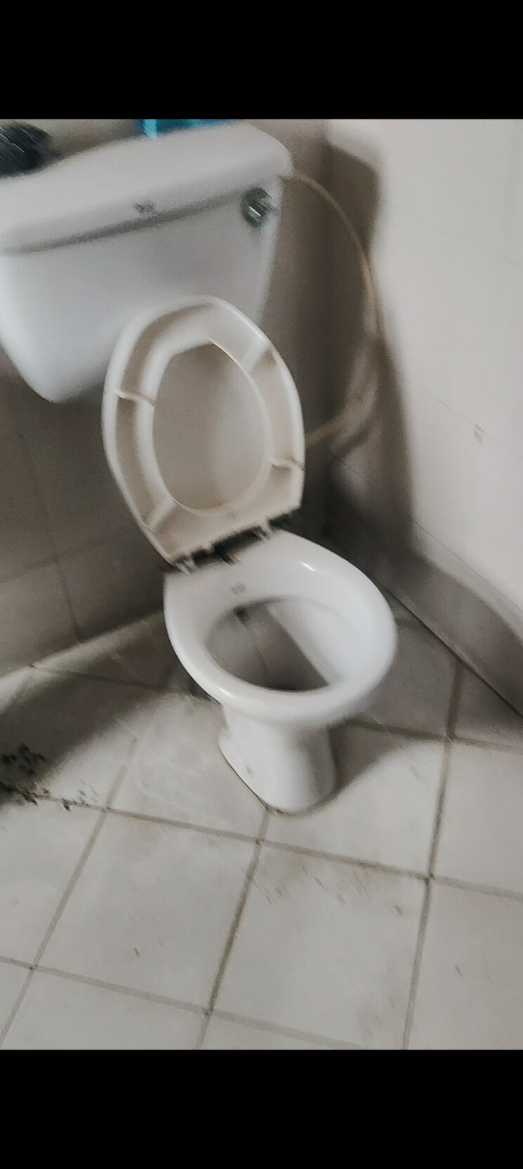 Bathroom, shree-energy-classic-residency 3 Bedroom 1540 Sq.Ft. Apartment In Raj Nagar Extension Ghaziabad 9663324