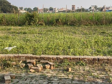 Plot Area in  Plot at Kamta – for Sale