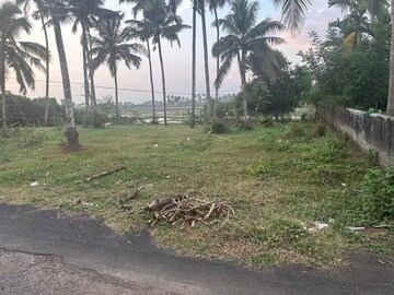 Plot Area in  Plot at Olarikara – for Sale