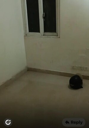 Room in 3 BHK Apartment at Amrapali Zodiac, Sector 120 – for Rent