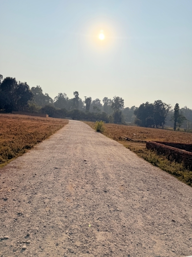 Plot For Sale in Badripur