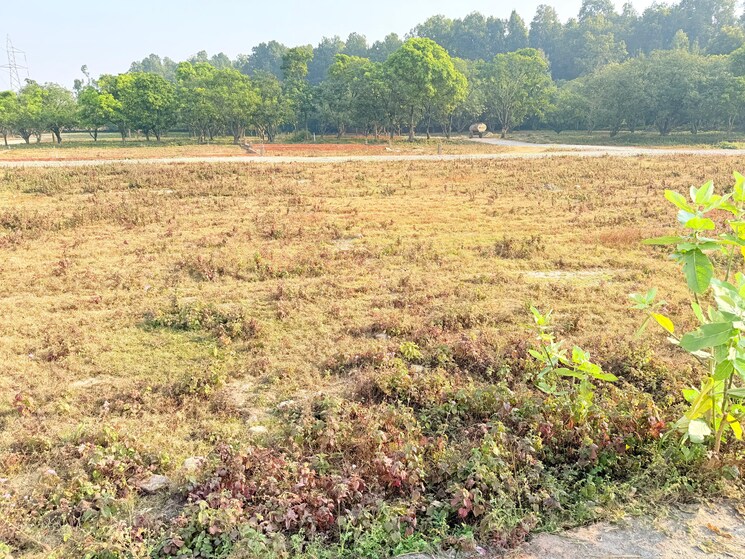 undefined, badripur  135 Sq.Yd. Plot In Badripur Dehradun 9663825