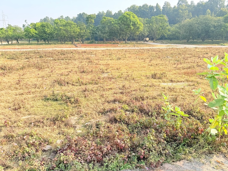 undefined, badripur  135 Sq.Yd. Plot In Badripur Dehradun 9663825