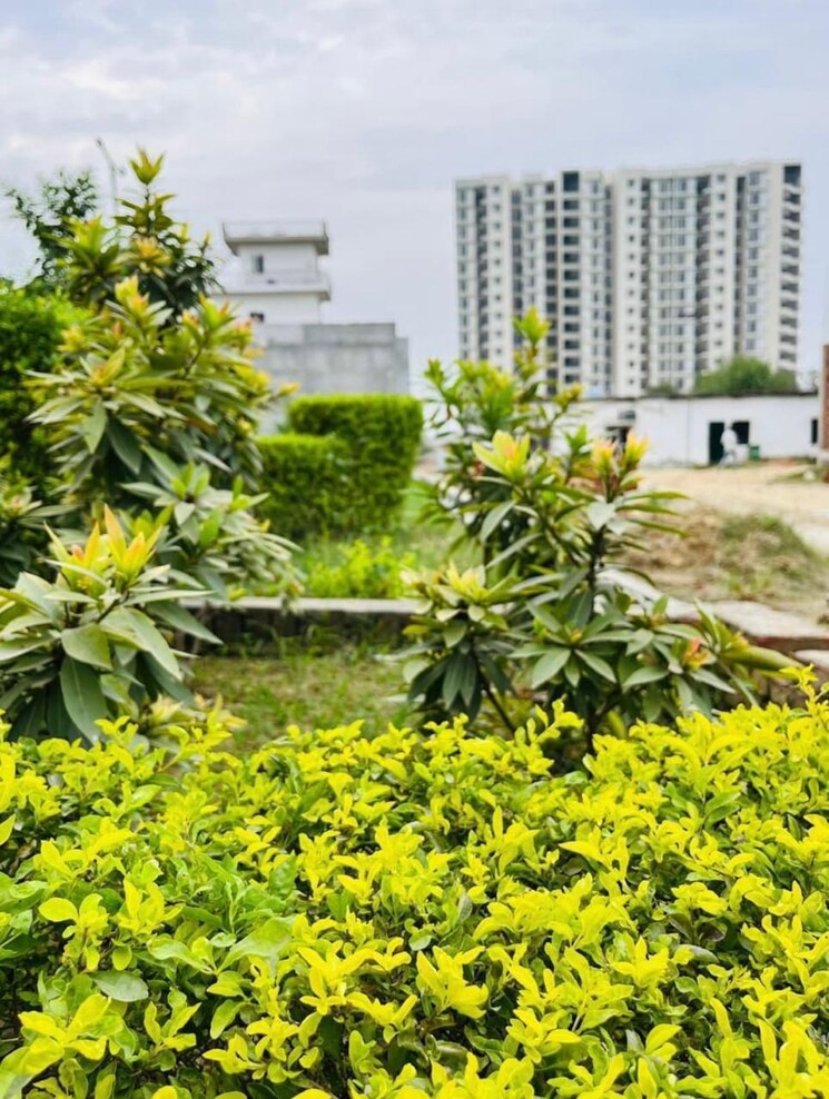 Garden, wing-lucknow-greens-plots  1245 Sq.Ft. Plot In Sultanpur Road Lucknow 9663867
