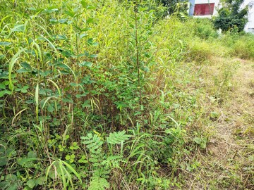 Plot Area in  Plot at Bhugaon – for Sale