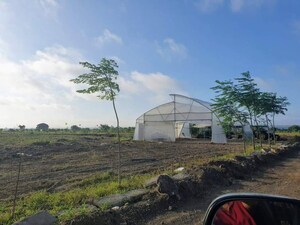 Plot Area in  Plot at Medak Road – for Sale