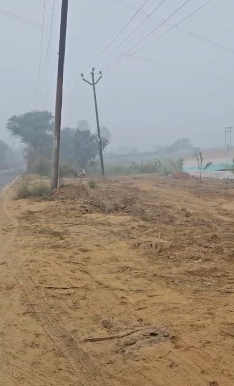 Cover Image, jewar  500 Sq.Yd. Plot In Jewar Greater Noida 9664044