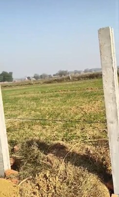 Plot For Sale in Jewar