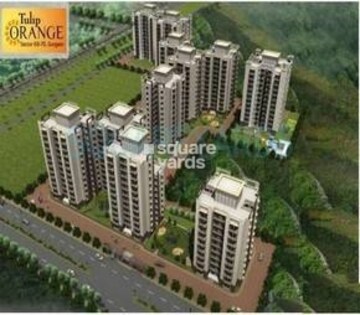 3 BHK Apartment For Rent in Tulip Orange, Sector 70