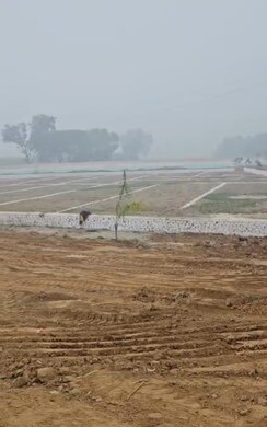 Plot For Sale in Jewar