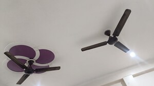 Furnished Amenities in 2 BHK Independent House at Faizabad Road – for Rent