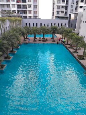 Swimming Pool in 1 BHK Apartment at Kolte Patil Life Republic Universe, Hinjewadi – for Rent