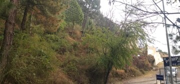  Plot – Garden View at Jutogh - for Sale